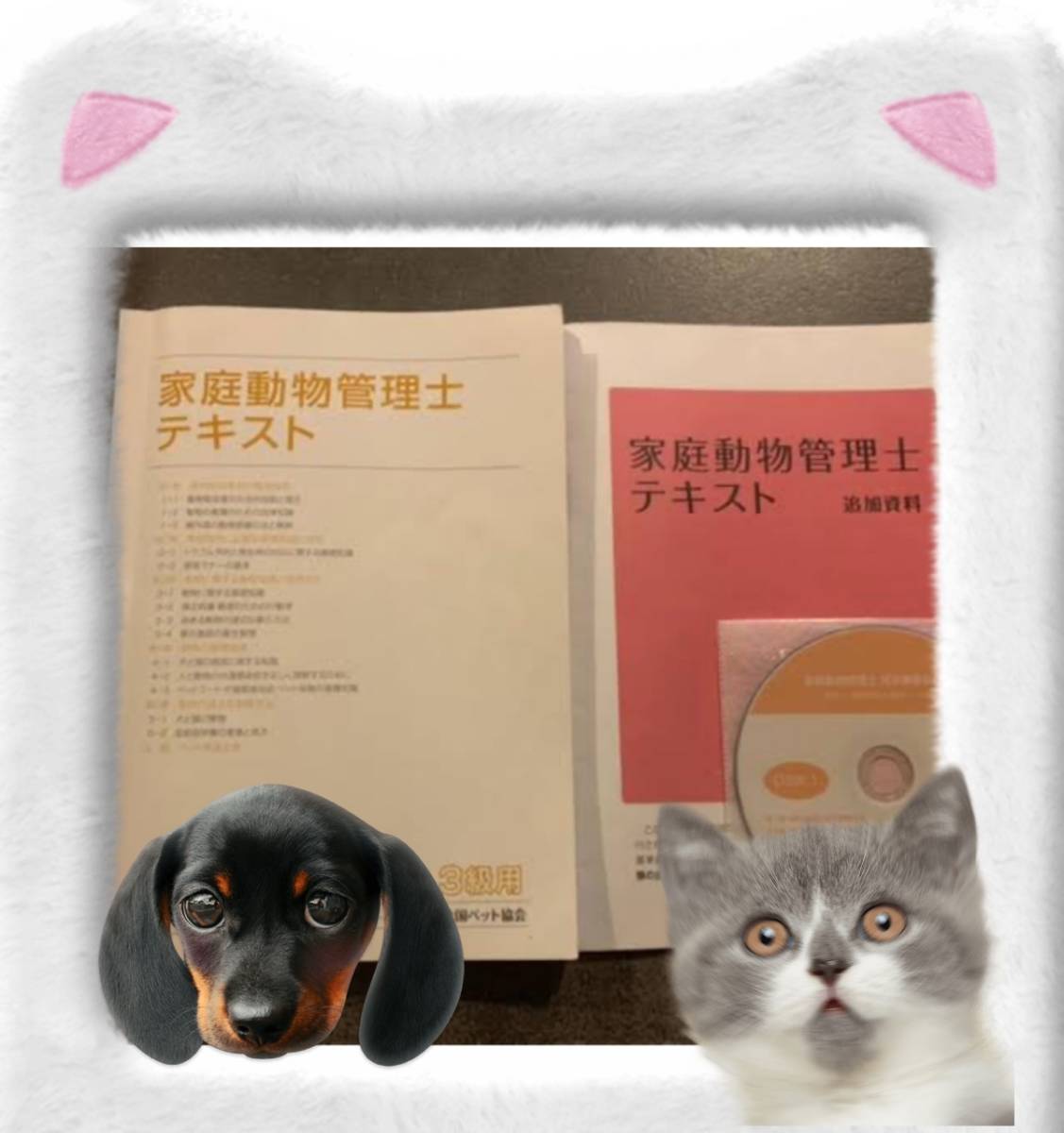 ★必勝★ 家庭動物管理士 ３級 合格必勝ノート 2023年4月と8月11月最新過去問題付き全25ページ  2023年6月の法改正資料も同封いたしますの画像2