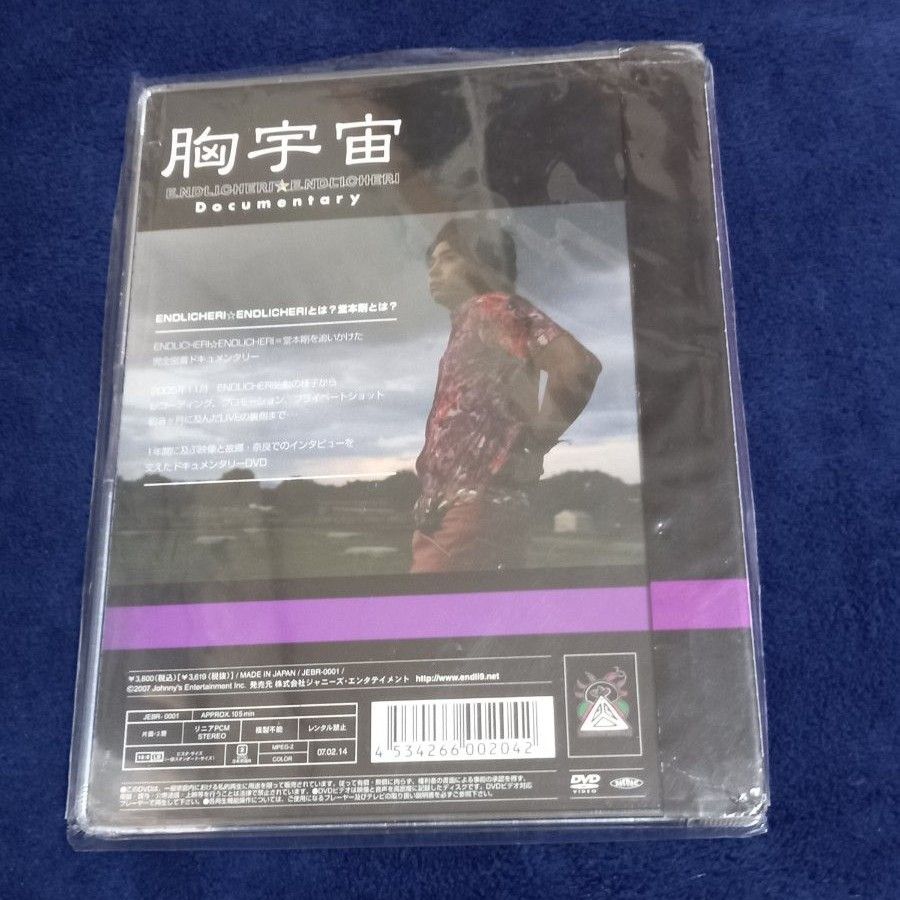 胸宇宙 ENDLICHERI☆ENDLICHERI Documentary [DVD] 堂本剛 KinKi Kids