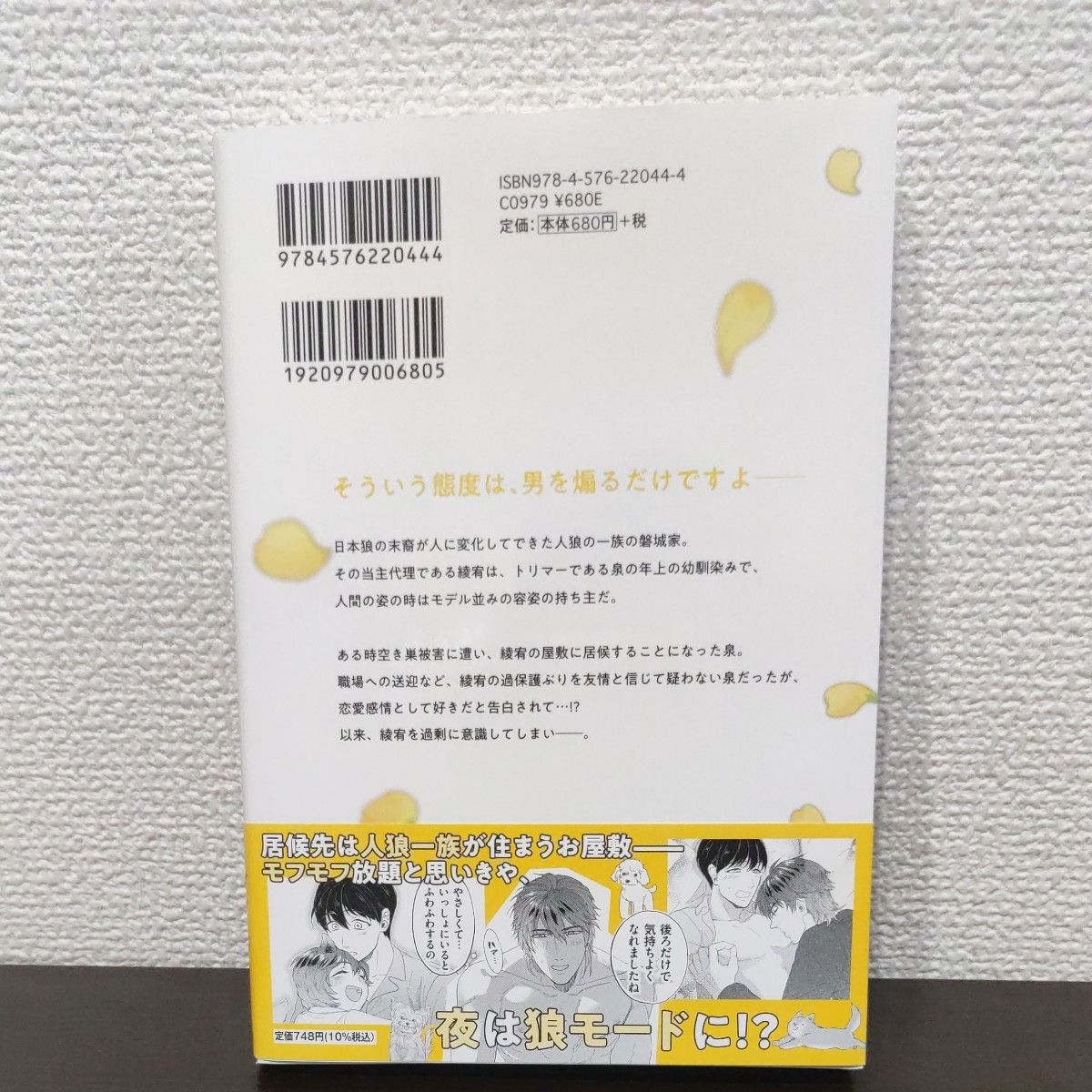 レイジ　松幸かほ　紳士な狼の愛の巣で