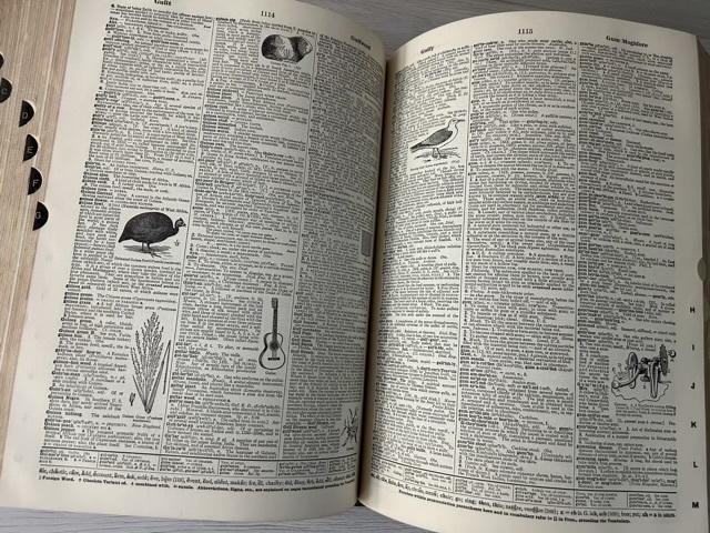 Webster's New International Dictionary Second Edition Unabridged ウェブスター 辞典 洋書【中古】YE2037SAI【送料無料／匿名配送】_画像9