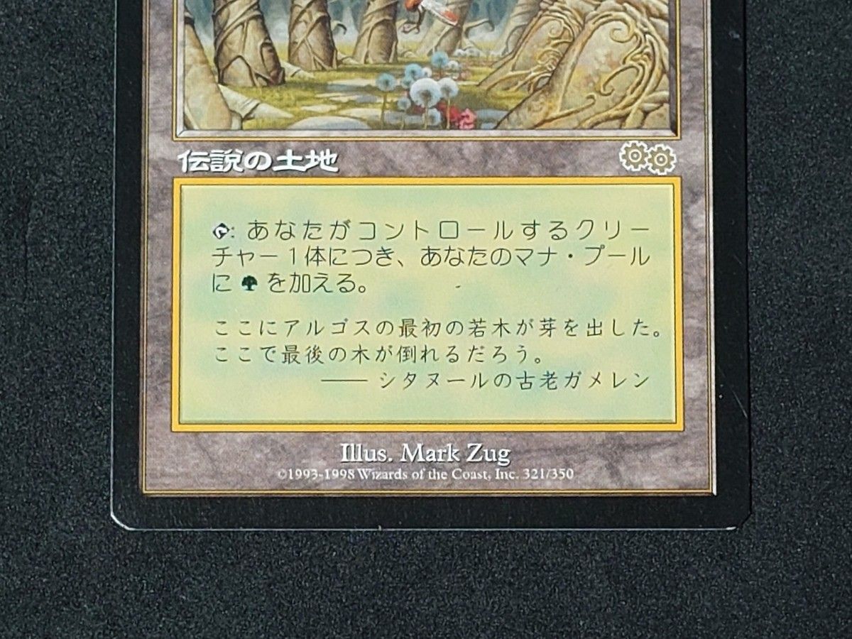 MTG マジックザギャザリング ガイヤの揺籃の地 日本語版1枚　再録禁止