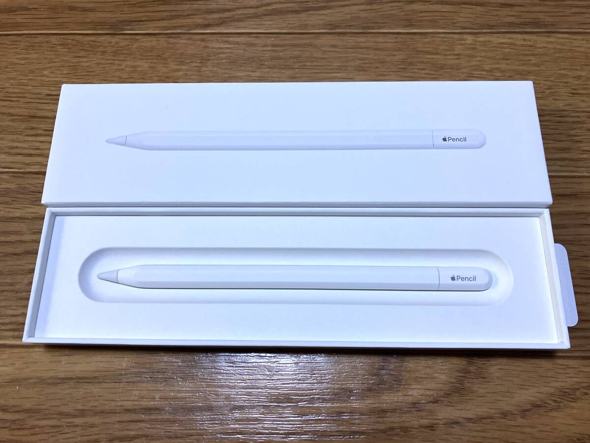 最新モデル Apple Pencil USB-C MUWA3ZA/A アップルペンシル iPad iPad Air iPad mini iPad Pro 未使用の画像3