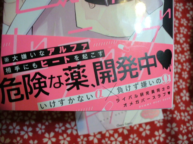2/24発売●ダミーヒート・ドラッグ●コミコミ特典4Pリーフレット付●黒木えぬこ～送料無料_画像2