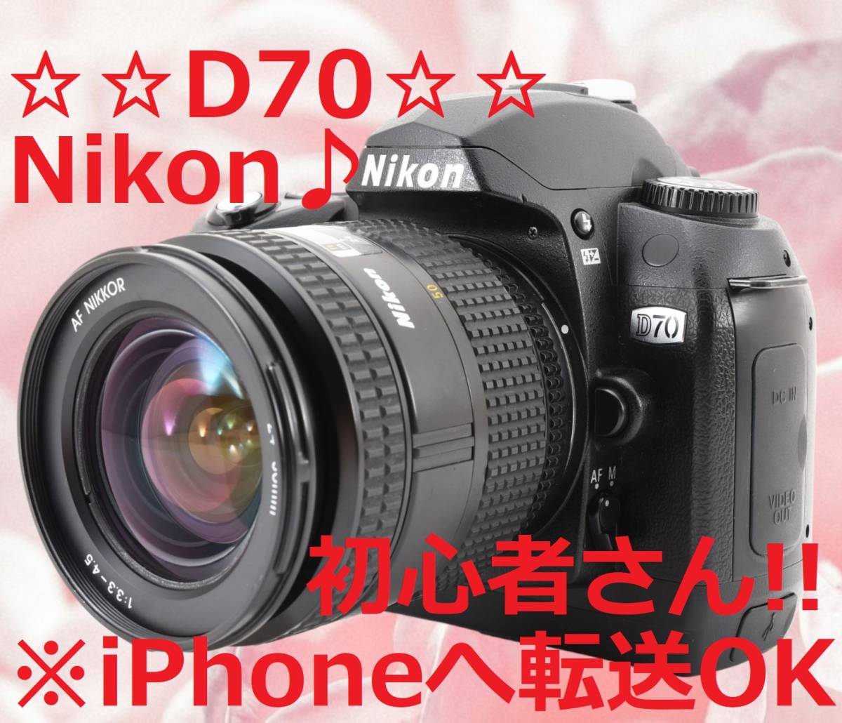 iPhoneへ画像転送OK!! レンズセット♪ Nikon D70 #6761