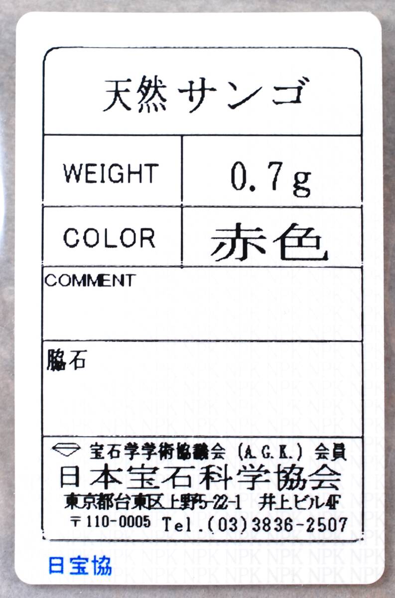 ￥100～ソ付K18高知産可愛いトップ色艶照り良い！天然赤珊瑚7.62㍉玉 全長16.7㍉PT_画像5