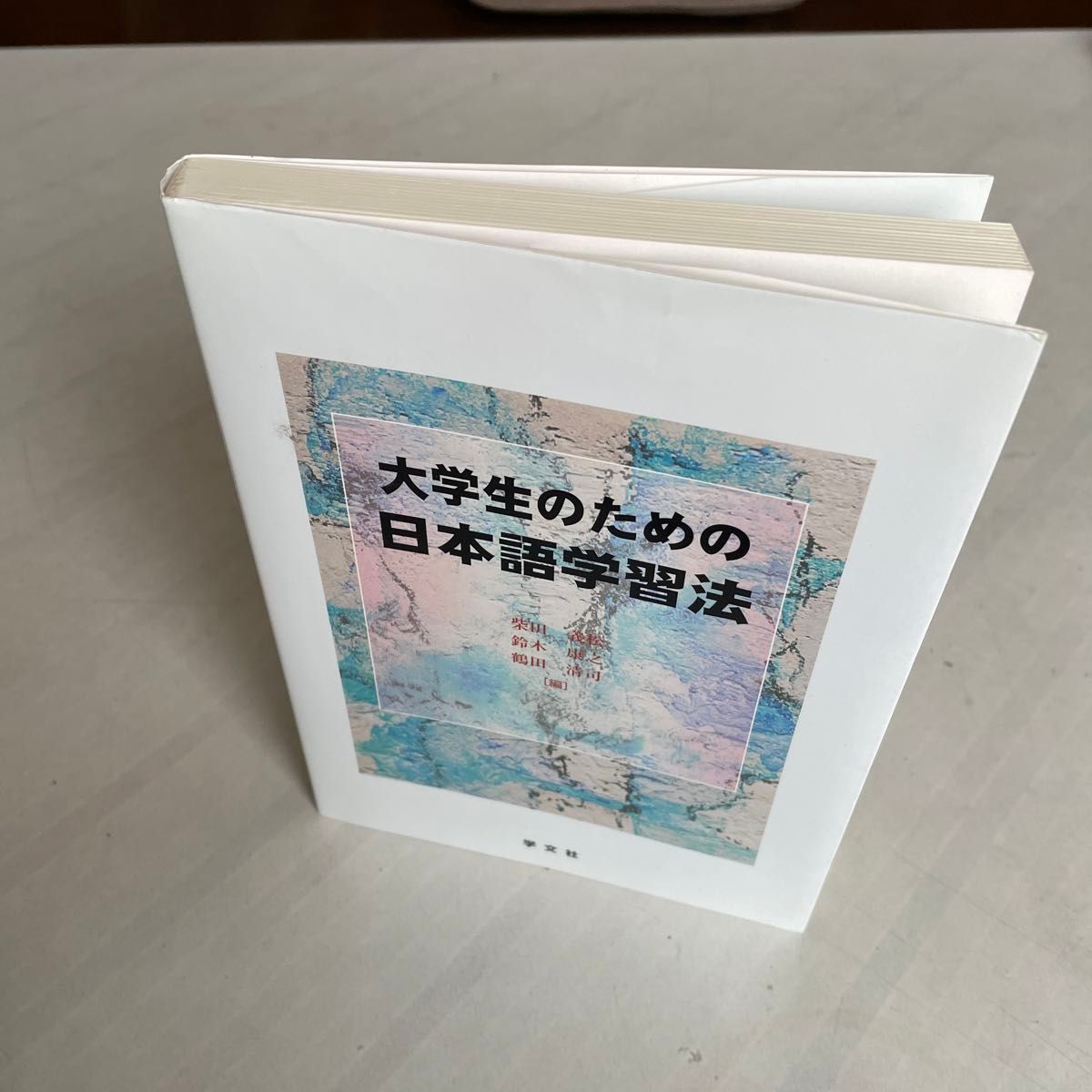 大学生のための日本語学習法 柴田義松／編　鈴木康之／編　鶴田清司／編