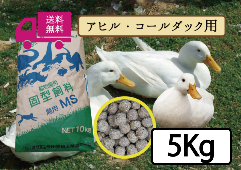 【期間限定SALE大特価】※送料無料 【アヒル・コールダック用飼料・ペレット】5kg 　オリエンタル酵母工業MS_画像1