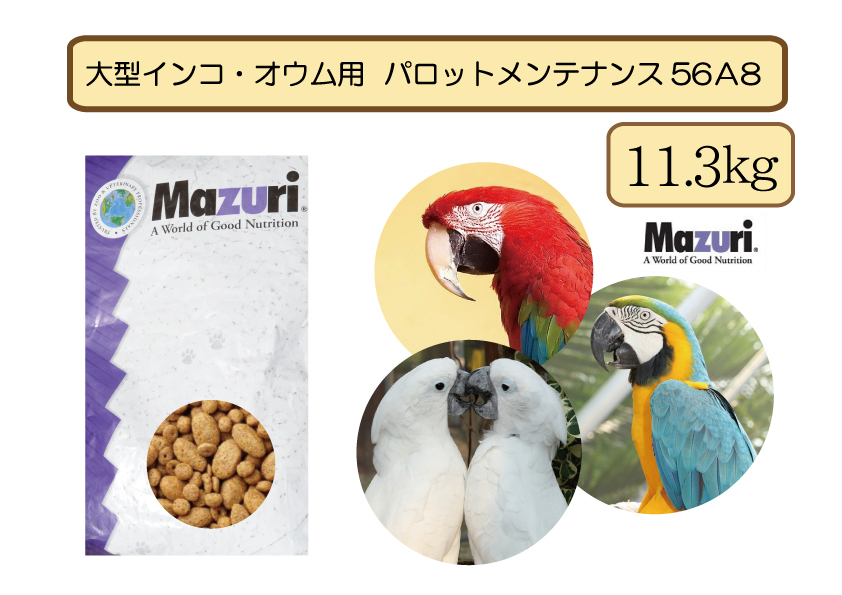 [SALE great special price ] free shipping [Mazurimazli] large parakeet * parrot 56A8pa Rod maintenance 11.3kg