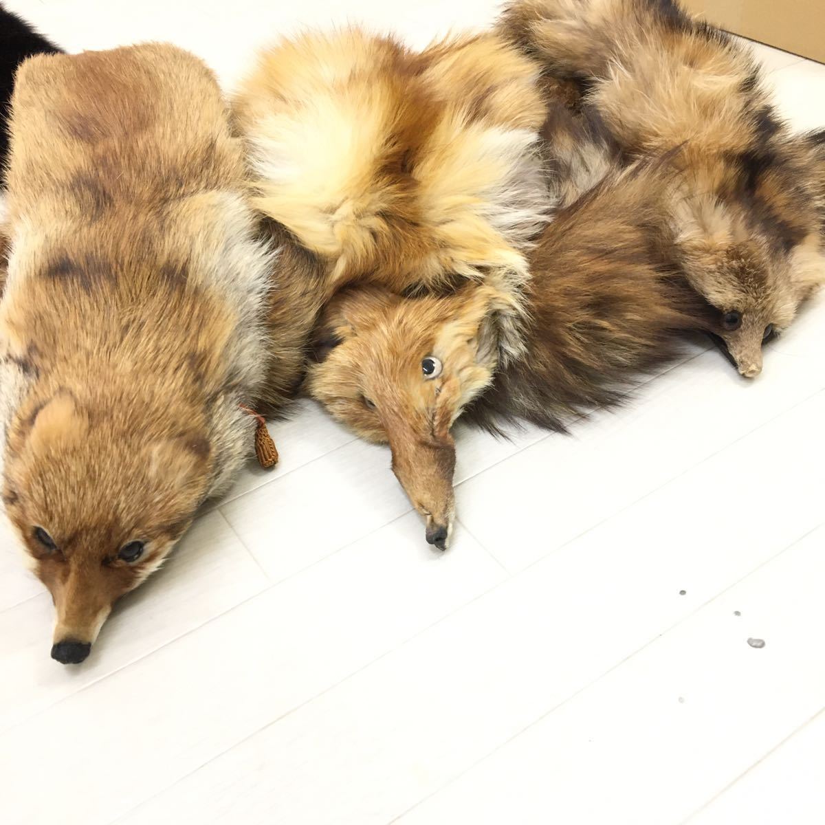 C15 高級 本毛皮 FOX フォックス MINK サファイアミンク 毛皮ショール ティペット リアルファー 顔付き 含む 毛皮 20点 まとめ セット_画像7