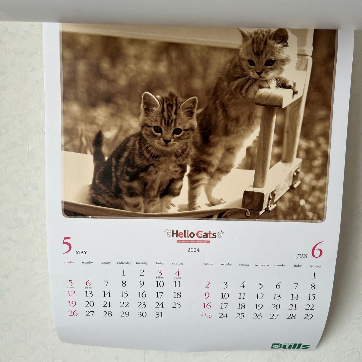 猫 壁掛カレンダー ねこ ハローキャッツ かわいい bulls セピア色　2024年　令和６年_画像4