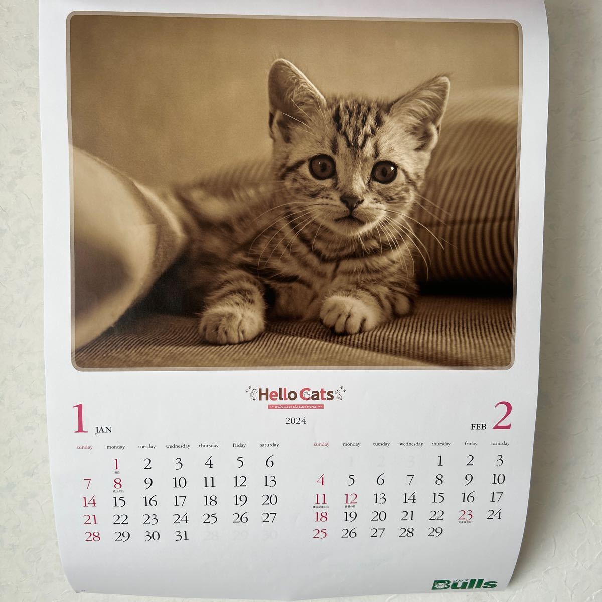 猫 壁掛カレンダー ねこ ハローキャッツ かわいい bulls セピア色　2024年　令和６年_画像2