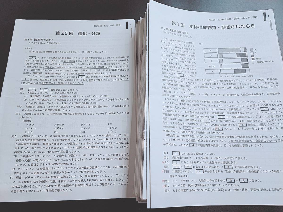 鉄緑会　李・柳沼先生　高3生物　問題解説冊子　フルセット　上位クラス　河合塾　駿台　鉄緑会　Z会　東進_画像1