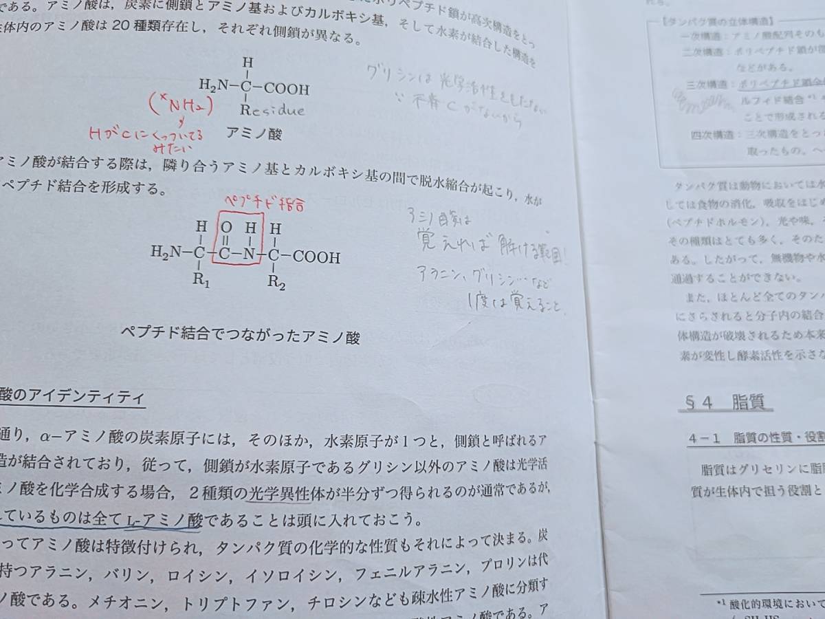 鉄緑会 李・柳沼先生 高3生物発展講座 講義冊子 フルセット 上位 鉄緑会 李・柳沼先生 高3生物発展講座 講義冊子 フルセット 上位