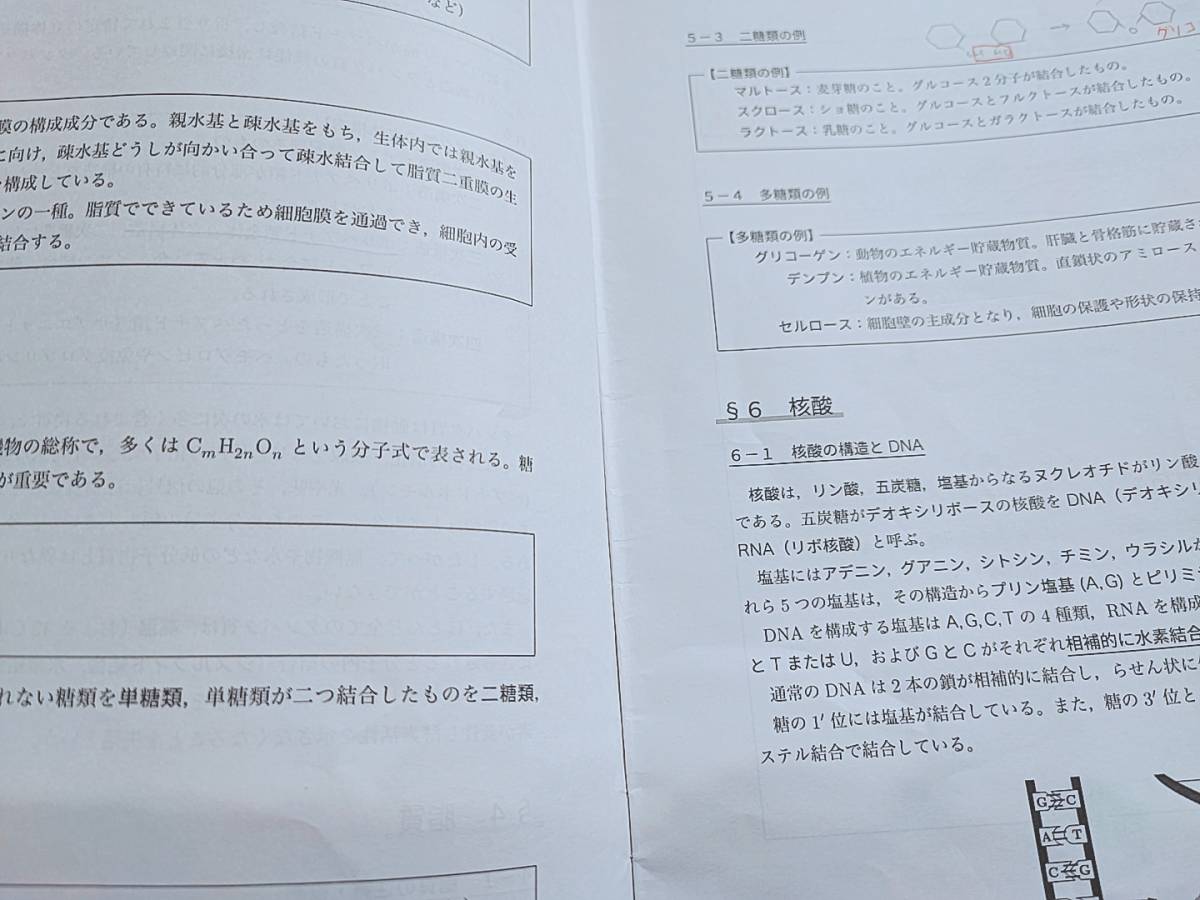 鉄緑会 李・柳沼先生 高3生物発展講座 講義冊子 フルセット 上位 鉄緑会 李・柳沼先生 高3生物発展講座 講義冊子 フルセット 上位