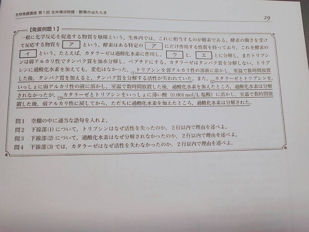 鉄緑会　柳沼先生　高３生物発展講座　講義冊子　フルセット　自宅学習用　上位クラス　河合塾　駿台　鉄緑会　Z会　東進　SEG 