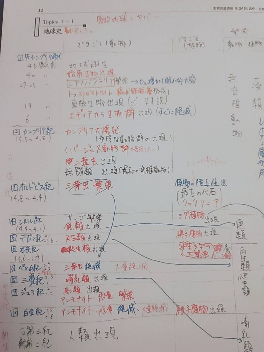 鉄緑会 柳沼先生 高3生物発展講座 講義冊子 フルセット 自宅 鉄緑会 柳沼先生 高3生物発展講座 講義冊子 フルセット 自宅
