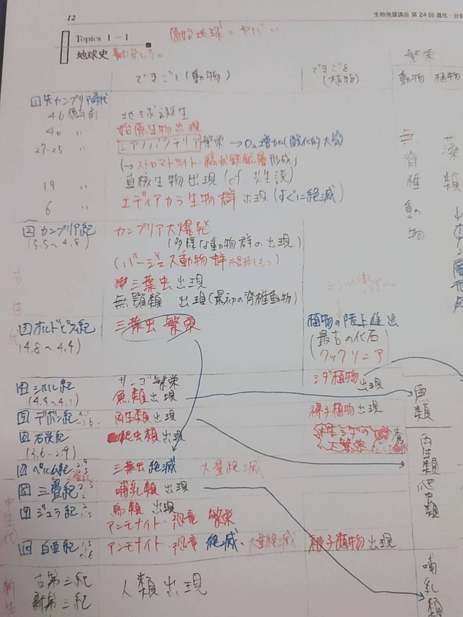 鉄緑会　柳沼先生　高３生物発展講座　講義冊子　フルセット　自宅学習用　上位クラス　河合塾　駿台　鉄緑会　Z会　東進　SEG 