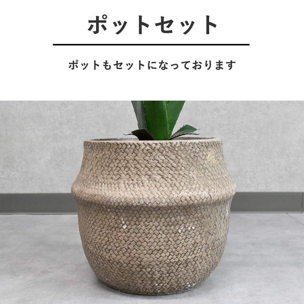 【限定送料無料】フェイクグリーン 観葉植物 アウトレット家具【新品 未使用 展示品】KEN_画像4