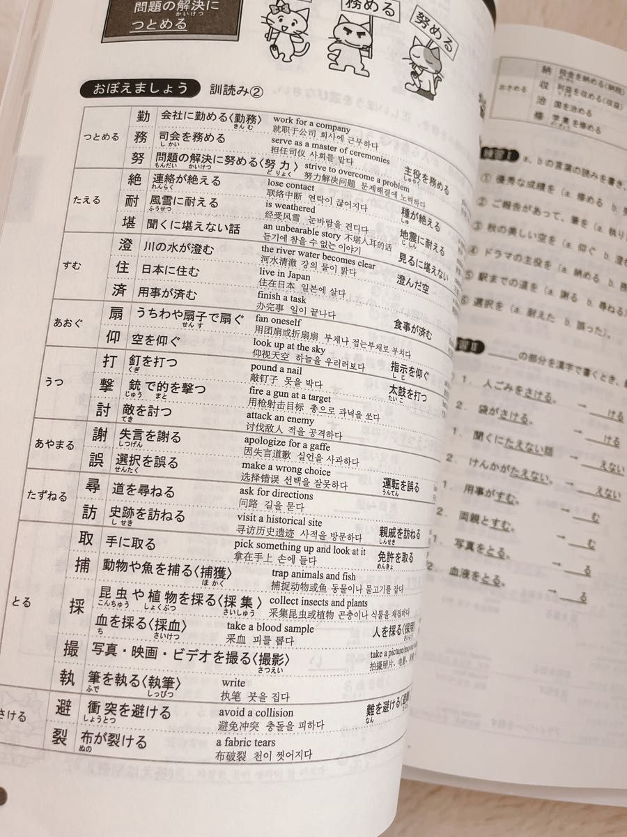 「日本語能力試験」対策日本語総まとめ n1 日本語教育能力検定試験