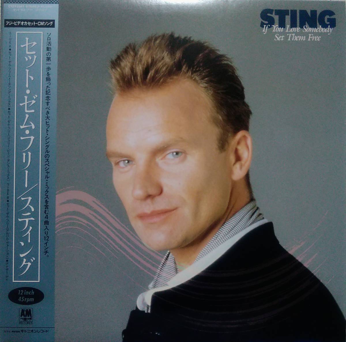 【12's 洋Pop】Sting「If You Love Somebody Set Them Free」JPN盤_ジャケット