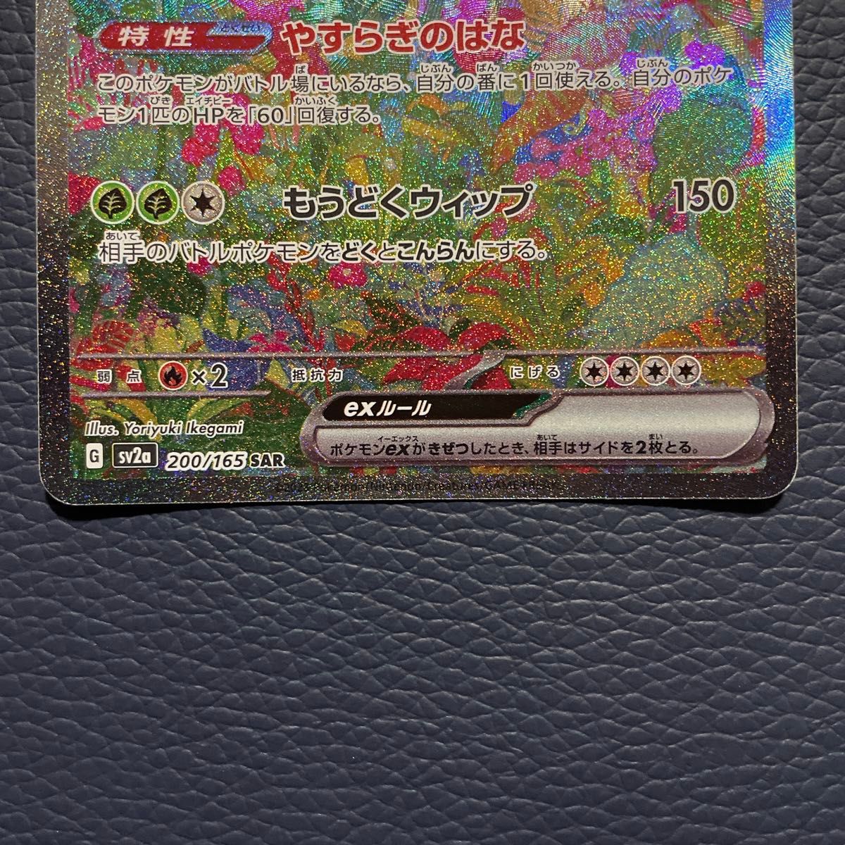 ポケモンカード 151 フシギバナex sar フシギダネ ar フシギソウ ポケモンカード 151 フシギバナex sar フシギダネ ar フシギソウ