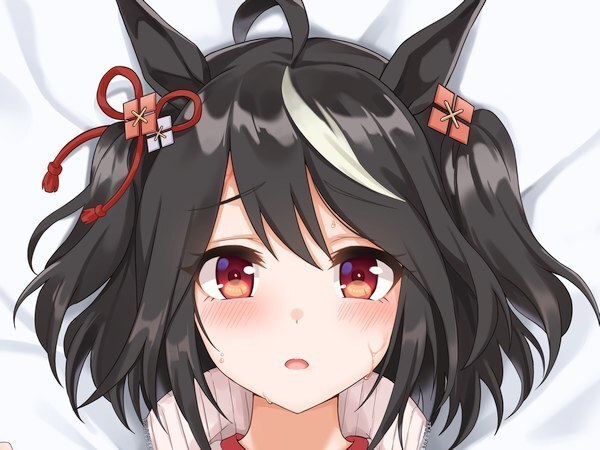 Yahoo!オークション - Z-M Pillows ウマ娘 プリティーダービー Yahoo!オークション - Z-M Pillows ウマ娘 プリティーダービー
