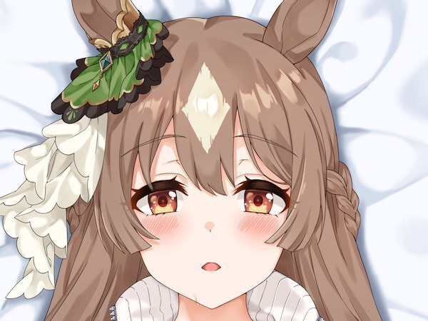 Z-M Pillows ウマ娘 プリティーダービー サトノダイヤモンド抱き Z-M Pillows ウマ娘 プリティーダービー サトノダイヤモンド抱き