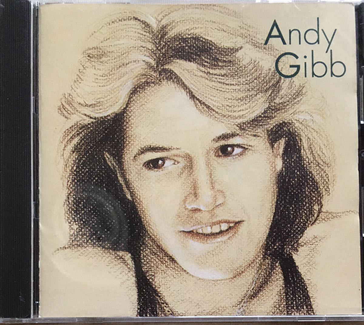 アンディ・ギブ ベスト・ヒッツ / ソフトロック / ライトメロウ / AOR / ビージーズ / Bee Gees / Andy Gibb_画像1