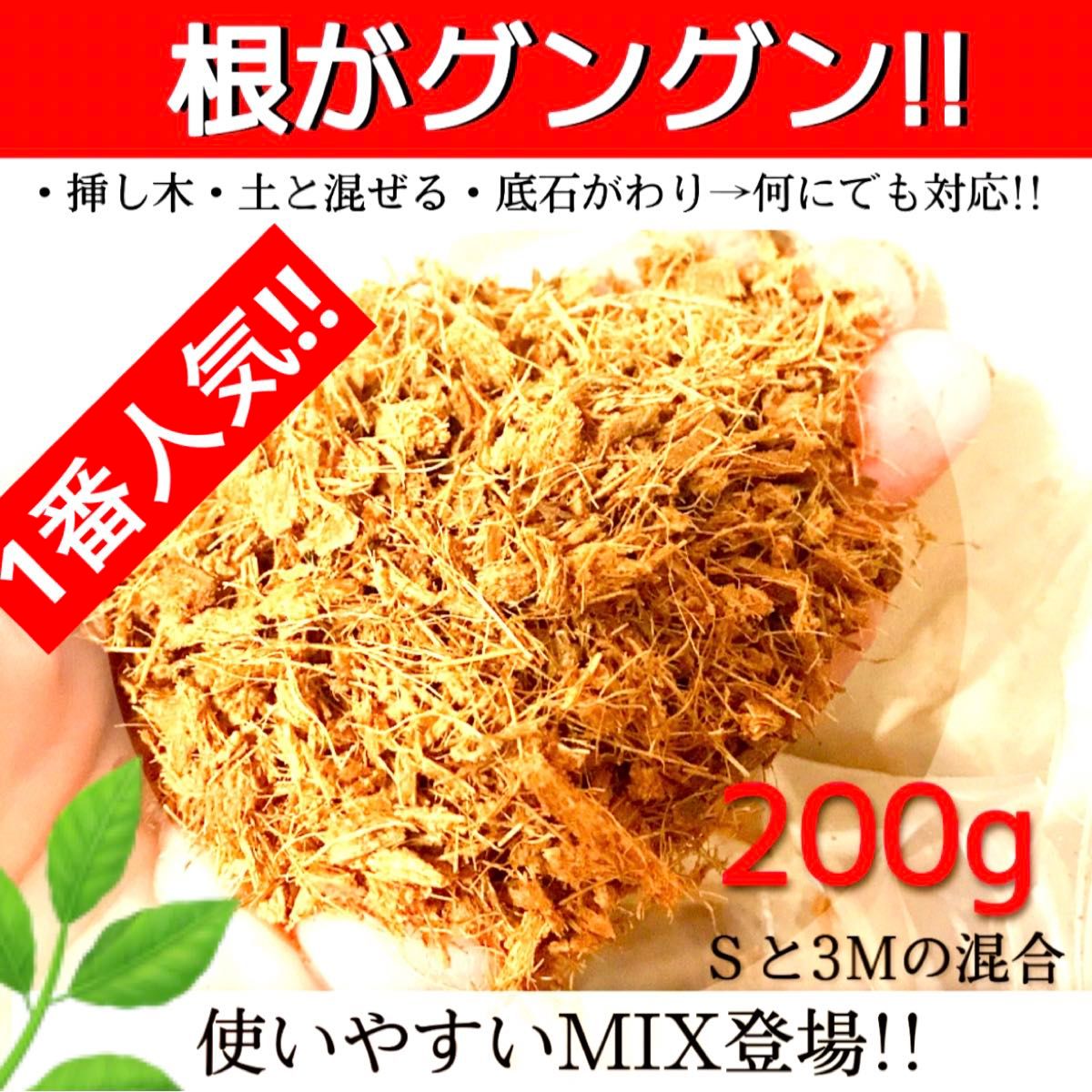 ヤシチップMIX【ポトス 斑入り モンステラ マドカズラ アイビー 柚子 桃 苺 多肉植物 韓国苗 薔薇 紫陽花 水苔等に】〇