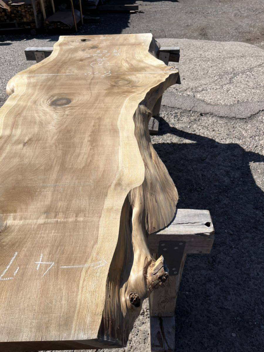 杉 樹齢約400年 2m 希少 ⑥無垢 一枚板 カウンター テーブル レジン 看板 ベンチ 棚 机 商品棚 商品台 陳列棚 リバーテーブルの画像6