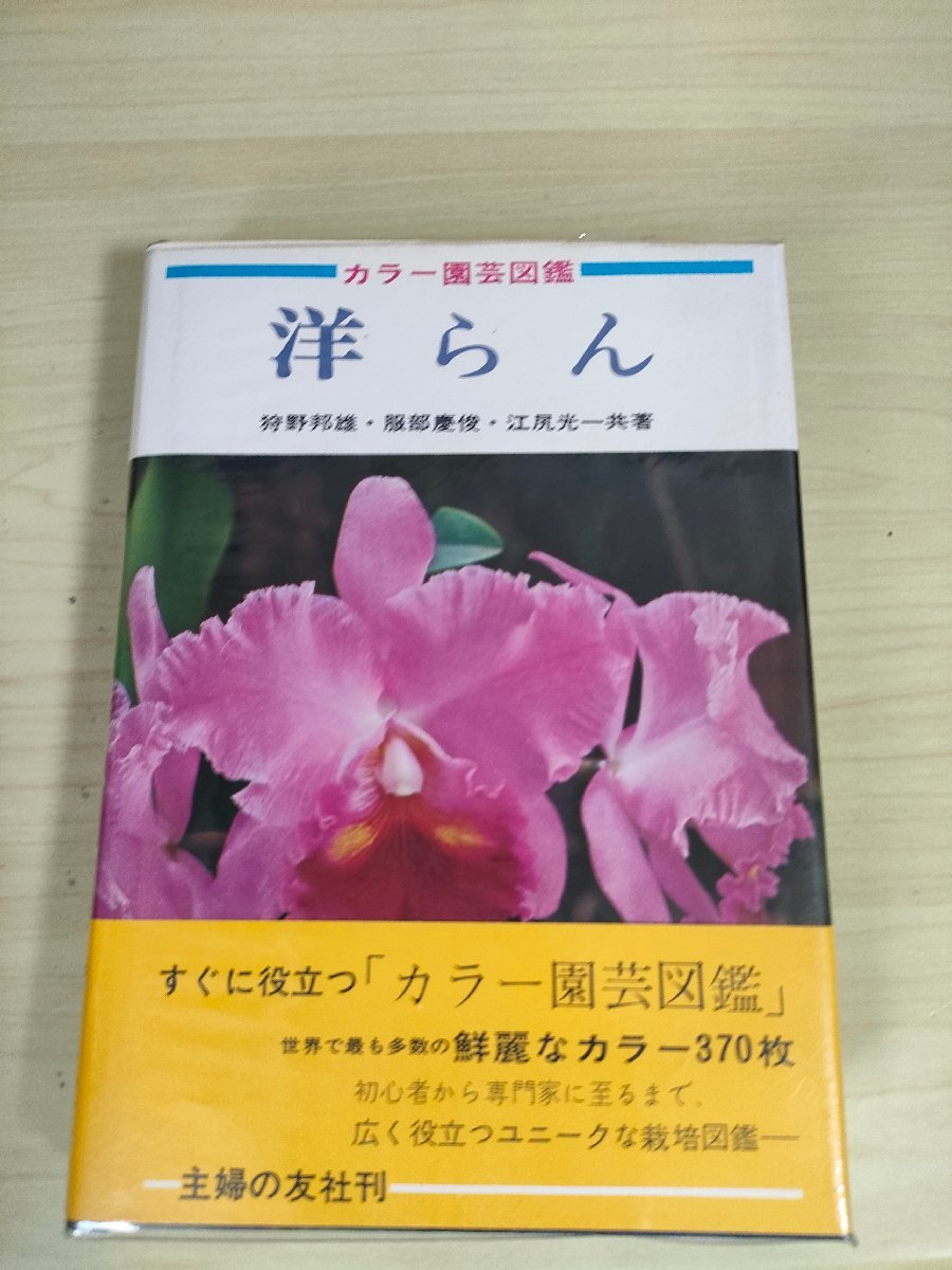 洋らん カラー園芸図鑑 狩野邦雄 服部慶俊 江尻光一 1969.3 初版第1刷帯付き 主婦の友社/自生地と分布/育種/改良種の命名と登録/B3227756の画像1