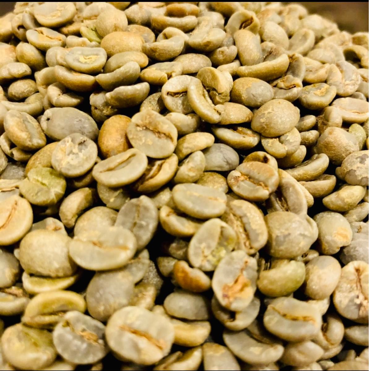 生豆 800g パプアニューギニア ワイルドハイランド スペシャリティ コーヒー 珈琲 コーヒー豆 珈琲豆