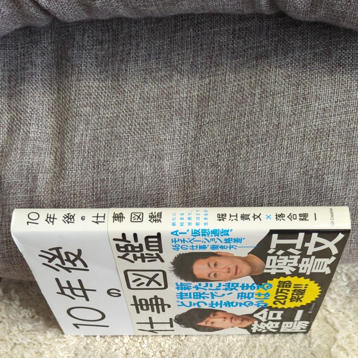 １０年後の仕事図鑑　新たに始まる世界で、君はどう生きるか 落合陽一／著　堀江貴文／著