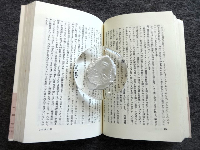 ■2a19 ドストエフスキー人物事典 中村健之介 朝日選書 1990/4 初版 帯付 全小説の193人 ユニークな登場人物論の画像9