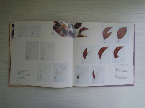 [GY1439]..... Mihara color 6 leaf ... wild grasses Matsumoto Kimi .1986 year 11 month 30 day no. 1 version no. 1. issue ... publish 