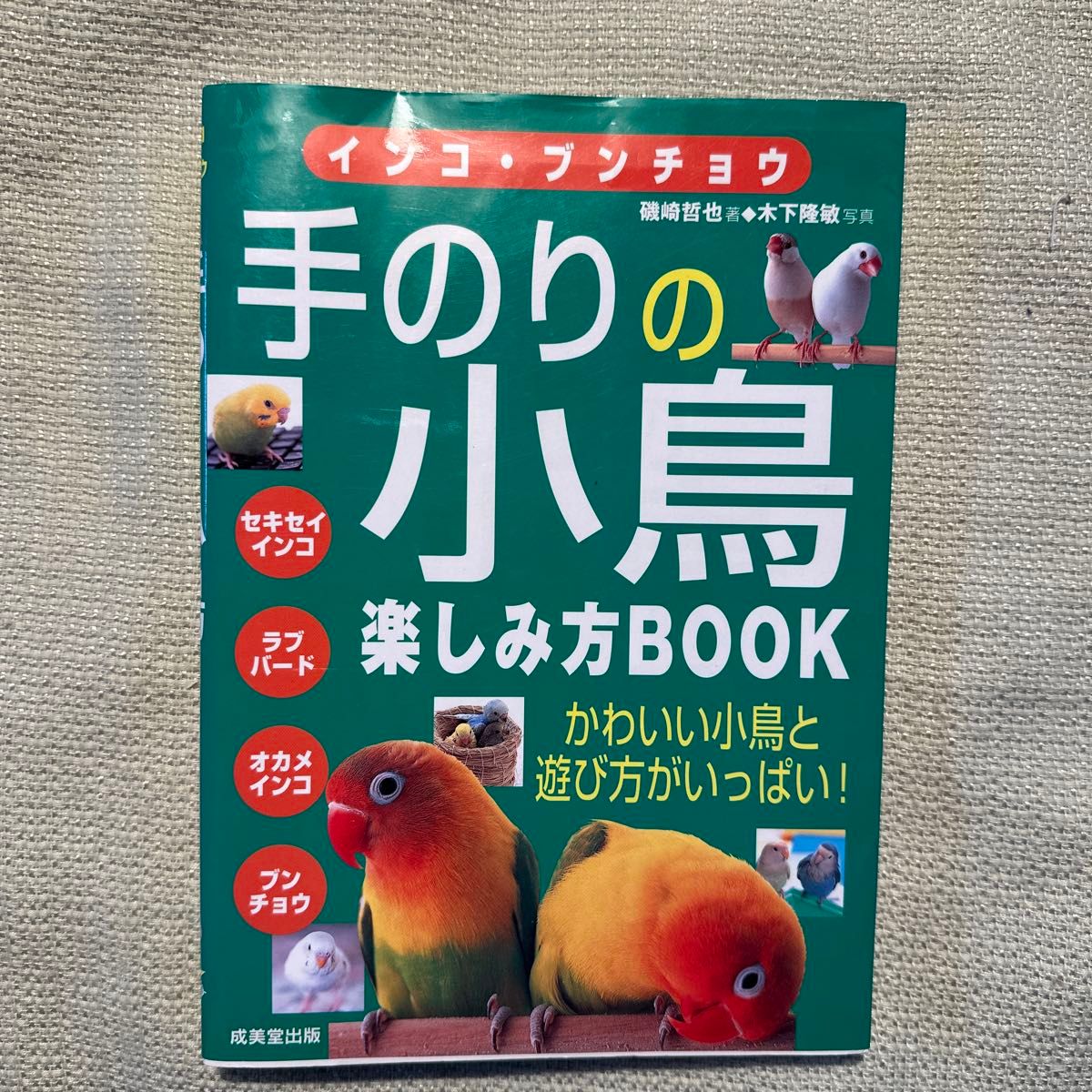 インコ・ブンチョウ手のりの小鳥楽しみ方ＢＯＯＫ　かわいい （インコ・ブンチョウ） 磯崎哲也／著　木下隆敏／写真