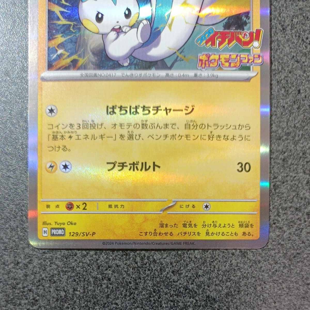 パチリス(プロモ) コロコロイチバン4月号付録 ポケモンカード パチリス(プロモ) コロコロイチバン4月号付録 ポケモンカード
