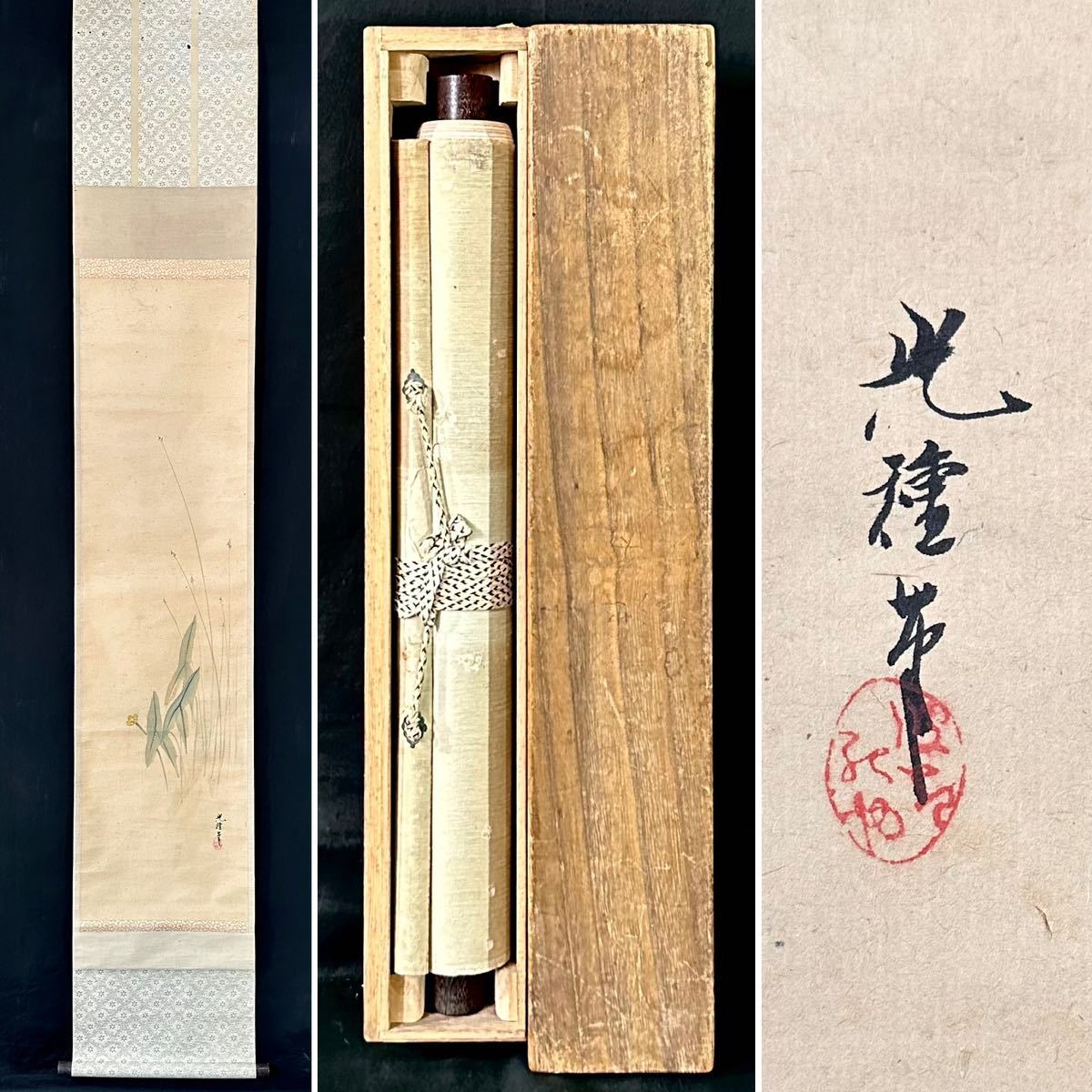 [ copy ] Yamamoto light kind [ flower map ] hanging scroll paper book@ Japanese picture Japan fine art Yamato .. painter Gifu. person . box person . wrote thing h020916