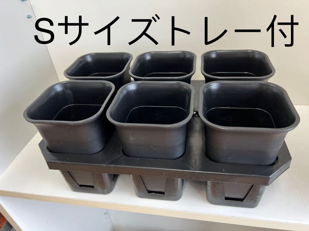 多肉植物 ハオルチア アガベ 専用プラ鉢 高品質 方丸型トレー付 Sサイズ 3セット_画像1