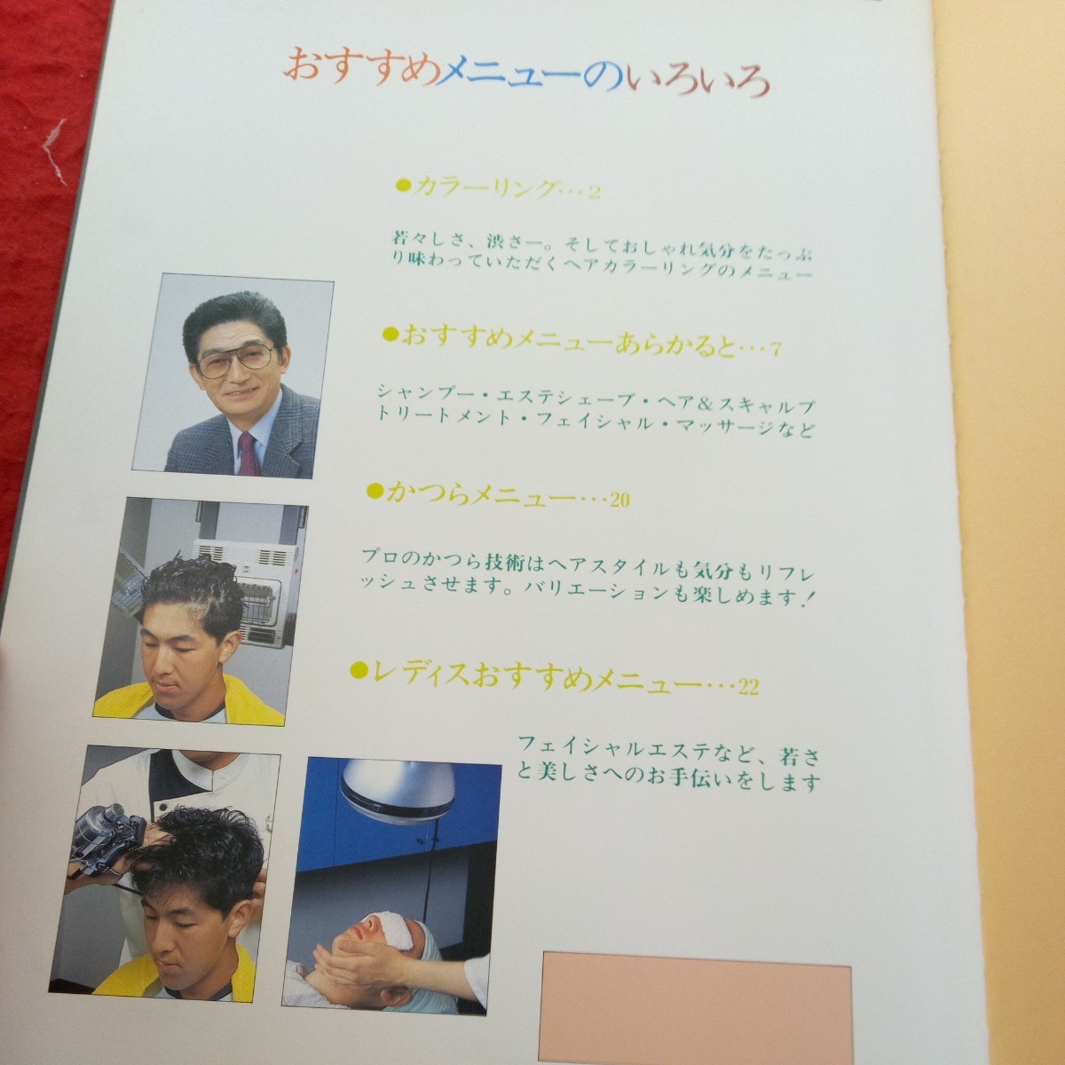 a-341 おすすめメニューのいろいろ 利美容教育出版 平成元年発行 カラーリング シャンプー・エステシェーブ・ヘア かつら レディス※4_画像5