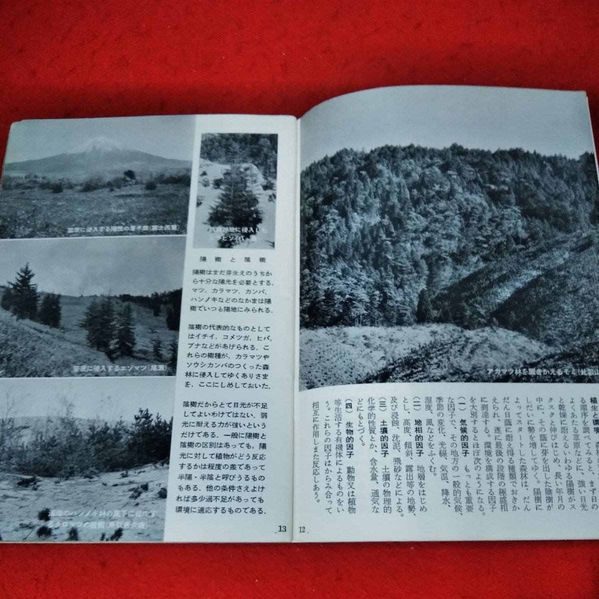 a-052 日本の森林　岩波写真文庫139　草と木　植生と環境　原始林　いろいろな林相　森林の分布※4_画像3