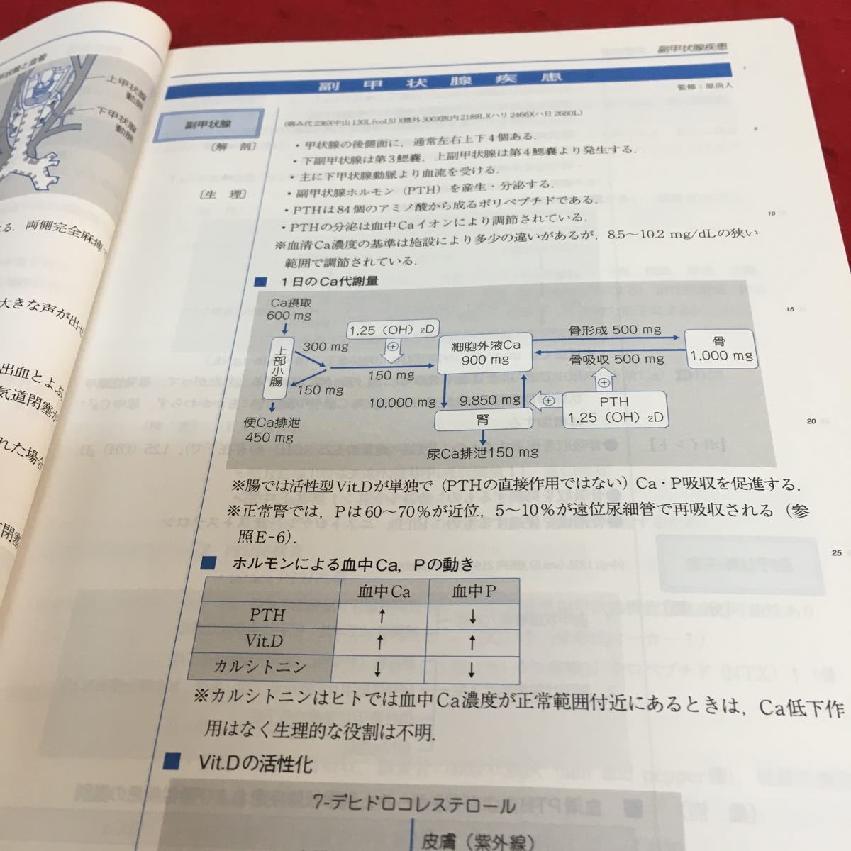 b-473 D 内分泌 代謝 栄養※4_画像6