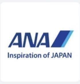 ANA9000マイル クレカOK 最短2日で加算_画像1