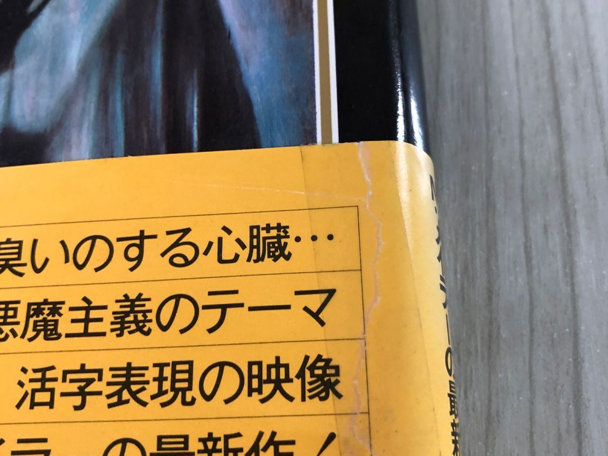 3-#黒ミサ ノーマン・メイラー 野島秀勝 訳 1977年 昭和52年 7月 30日 集英社 帯にテープ跡有 キズ・よごれ有 フランス パリ デュルタル_画像7