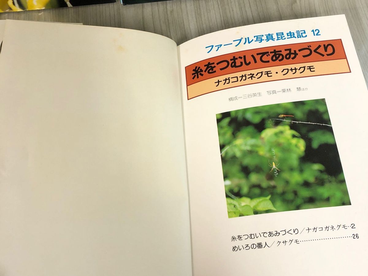 3-▲全12巻揃い まとめ ファーブル写真昆虫記 1986-1987年 昭和61-62年 岩崎書店 シミあり 図鑑 カラー ハチ カマキリ バッタ サムライアリ_画像8