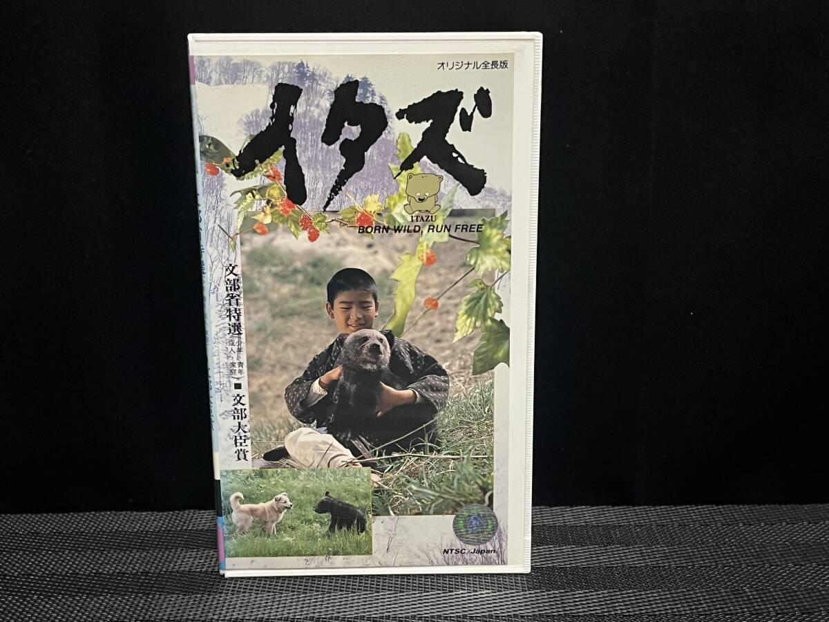 ■ イタズ 熊 ■ 田村高廣 桜田淳子 宮田浩史 草薙幸二郎 小島三児 佐藤B作 由利徹 堀永子 矢口高雄 清川虹子 辰巳柳太郎　 監督・後藤敏夫_※未ＤＶＤ化作品です。