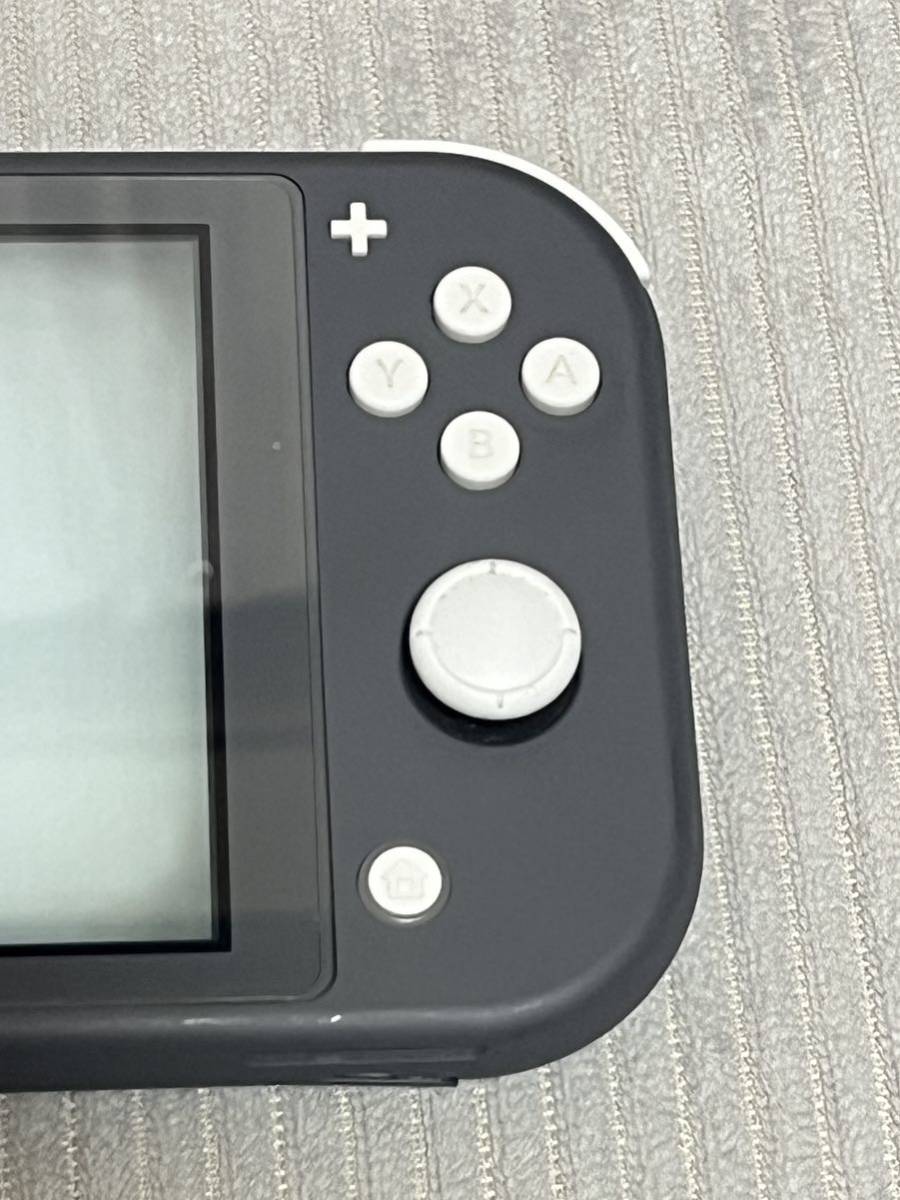 Nintendo Switch Lite ニンテンドースイッチ ライト 本体とソフト4本　中古　オマケ付き　検)ポケモン　ダビスタ　モンスターハンター_画像5