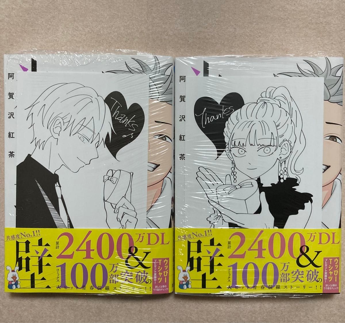 新品 氷の城壁 9巻 初版 阿賀沢 紅茶 特典 TSUTAYA ツタヤ アニメイト こゆん 描き下ろし イラストカード 2冊