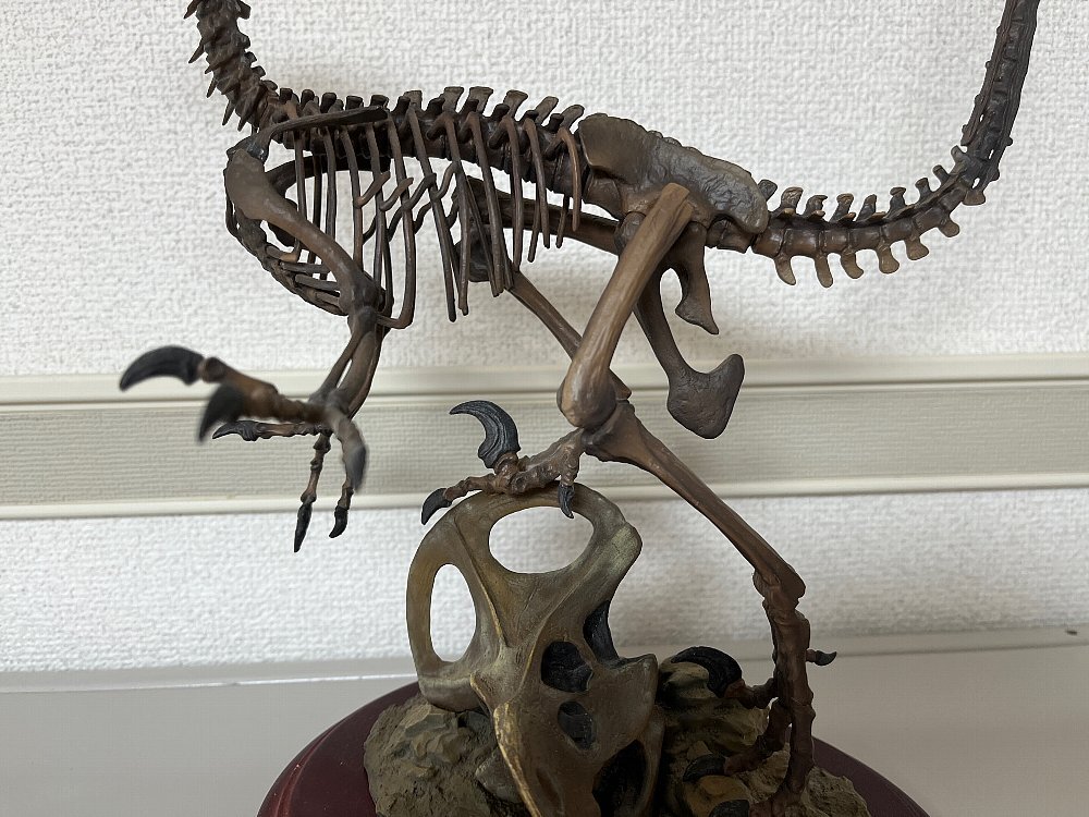 ヴェロキラプトル ラプター マスターフォッシル MASTER FOSSIL SKELTON MODEL 化石模型 骨格模型 フィギュア ジュラシックワールド_画像8