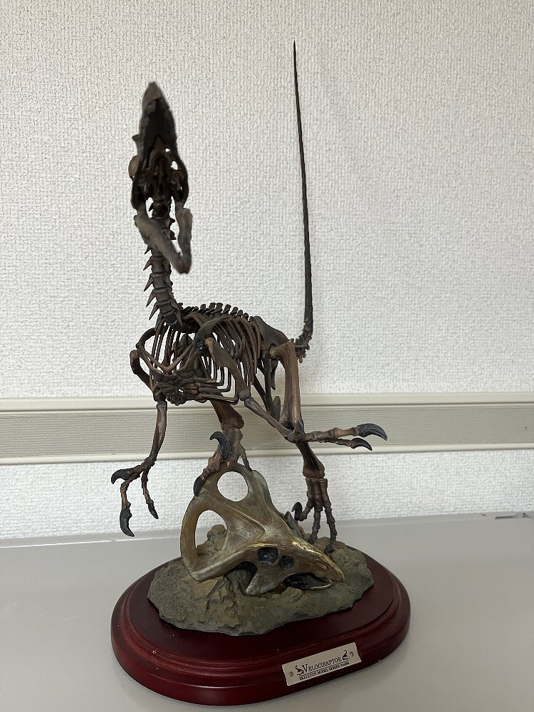 ヴェロキラプトル ラプター マスターフォッシル MASTER FOSSIL SKELTON MODEL 化石模型 骨格模型 フィギュア ジュラシックワールド_画像3